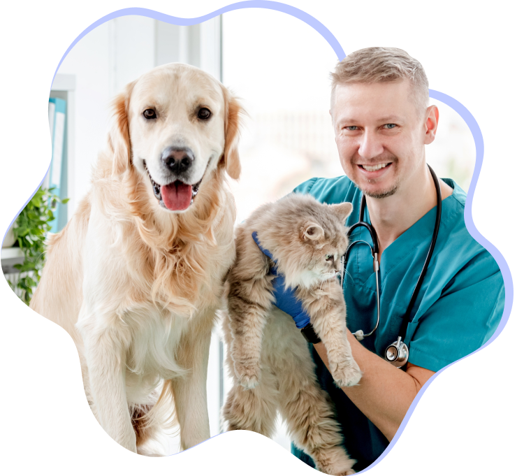 Pet img
