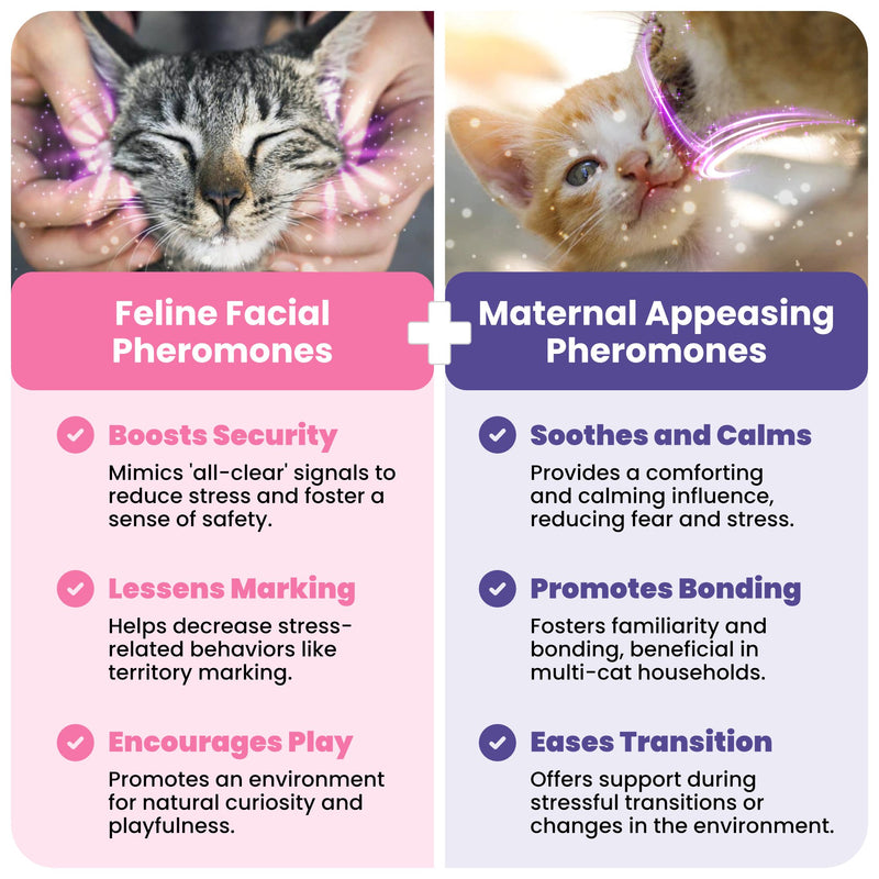 TheraPetMD Cat Calming Diffuser - TheraPetMD
