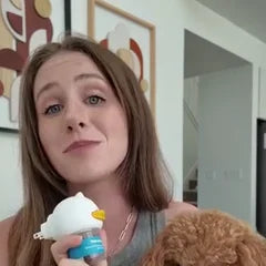 Bella’s owner