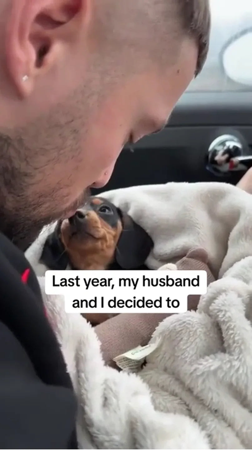 TheraPetMD customer video 2: a rescue dog settles in