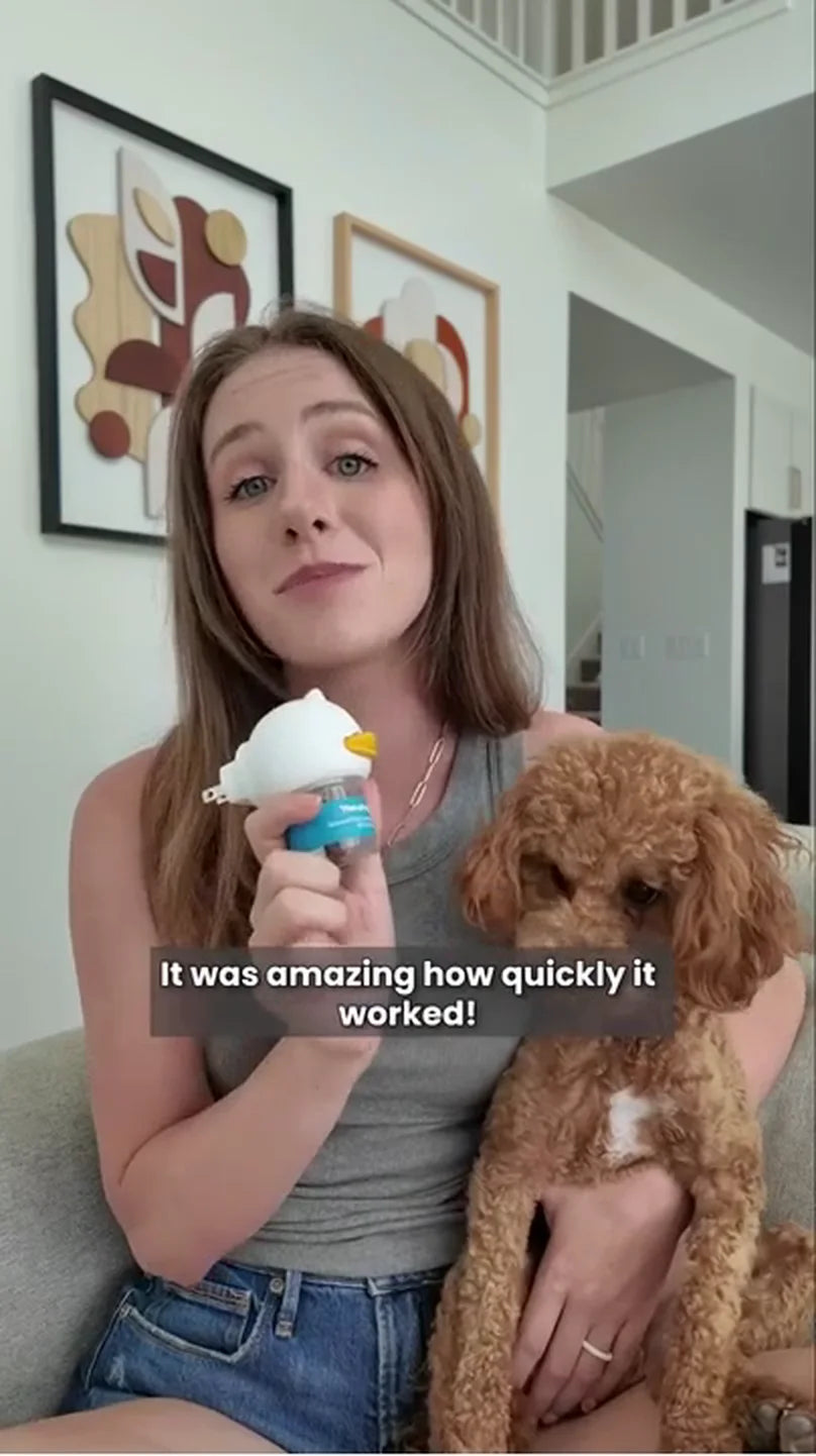 TheraPetMD customer video 3: indoor accidents stopped