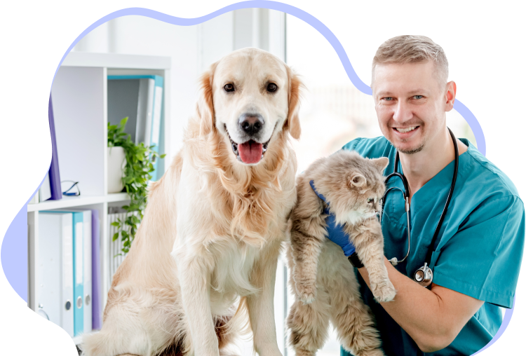 Pet img