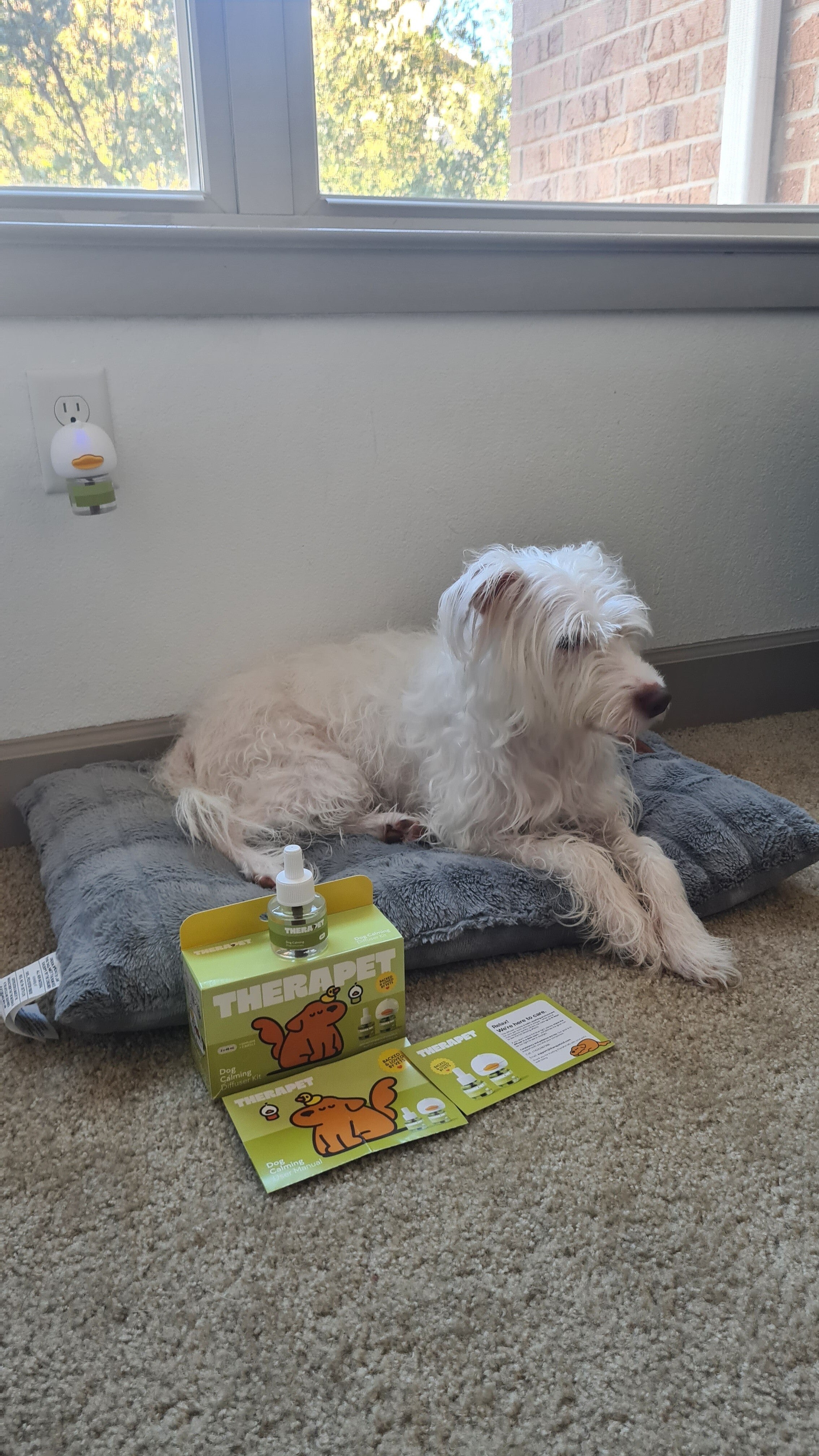 I recommend TheraPet for dogs and cats to reduce stress behaviors and promote calm during changes or transitions.  - TheraPetMD