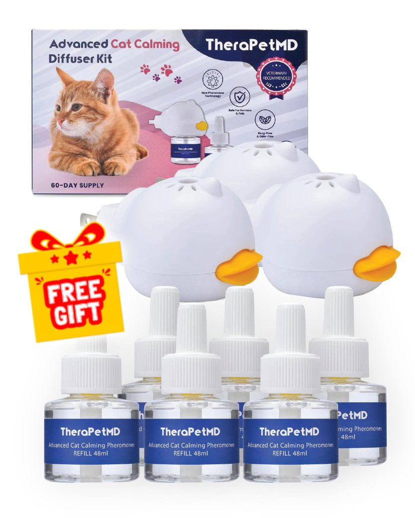 Cat diffuser petsmart hotsell