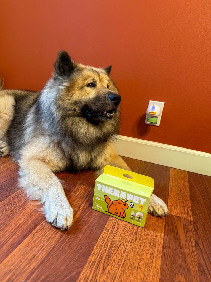 Pet parent review image