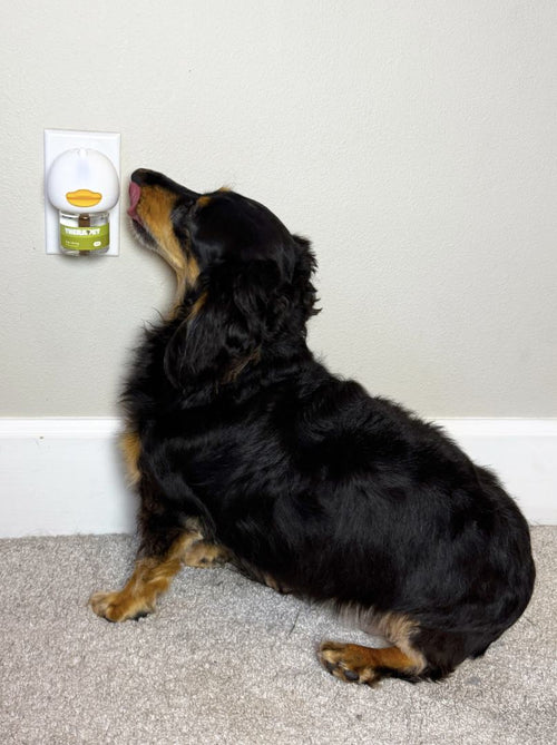 Pet parent review image
