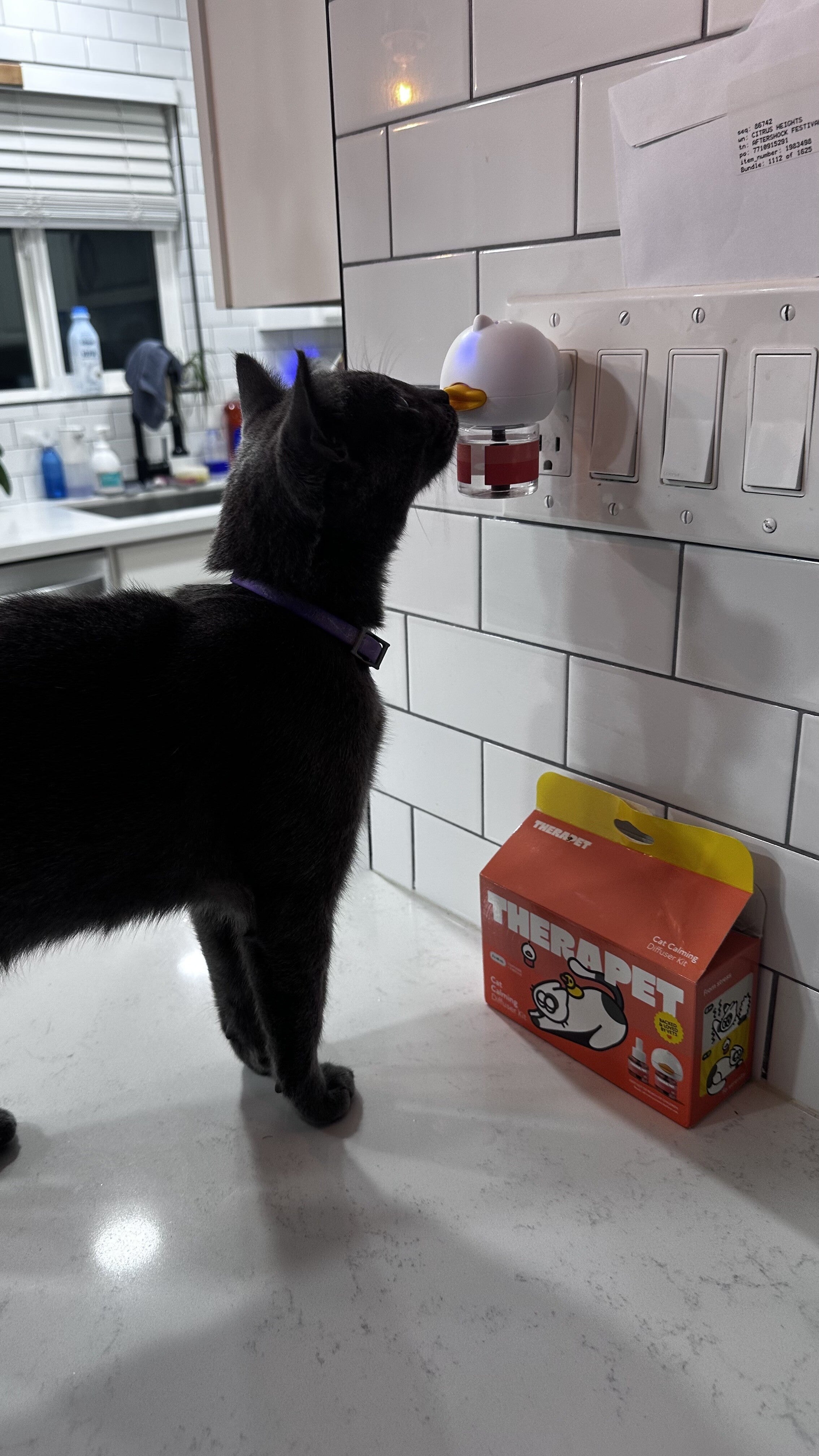 TheraPet helps calm dogs and cats, reducing stress and behaviors like barking, chewing, marking, and scratching. Great for routine changes or multi-pet homes. - TheraPetMD