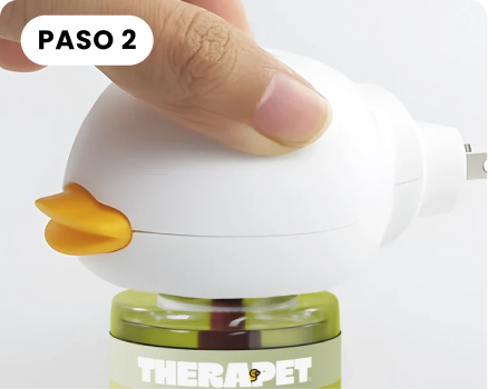 Encuentra los lugares ideales