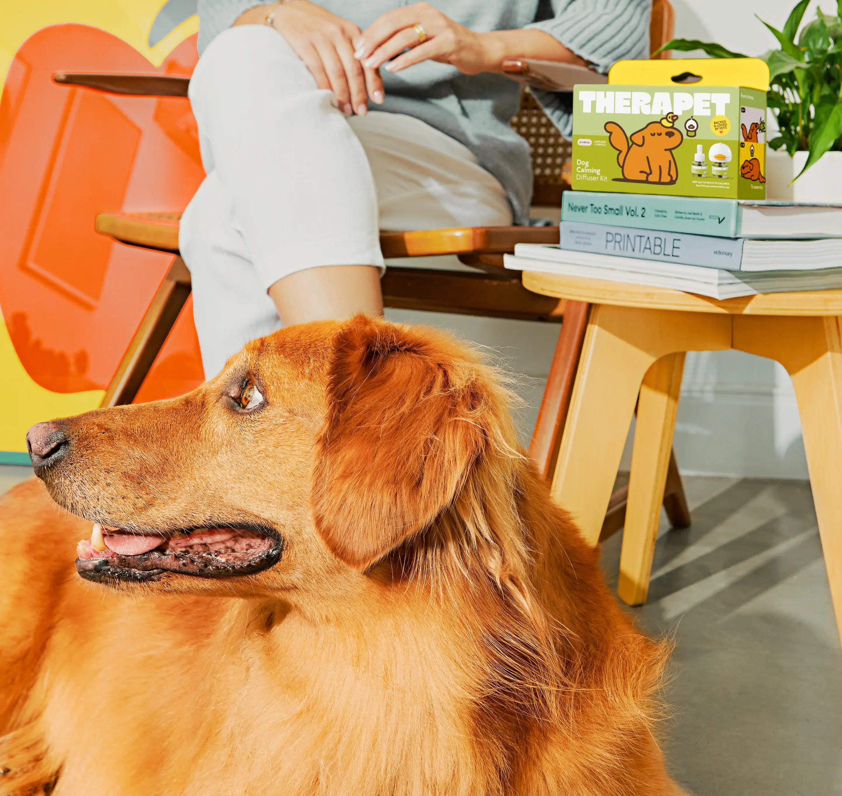 Advanced Calming Diffuser for Happier, Stress-Free Pets - TheraPetMD