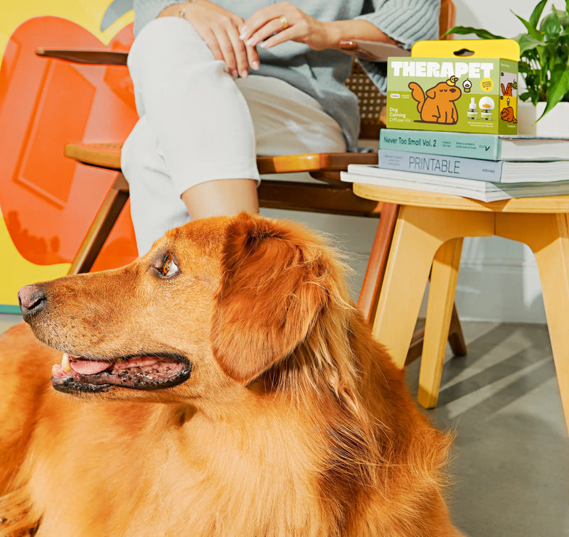 Advanced Calming Diffuser for Happier, Stress-Free Pets - TheraPetMD