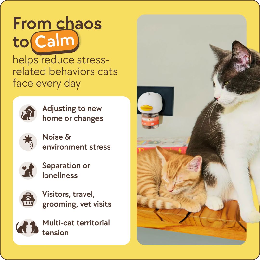 Cats Calming Diffuser Kit - TheraPetMD