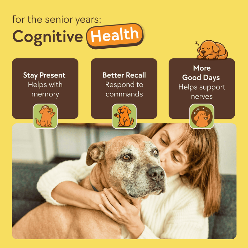 DOGUS Training Treats - TheraPetMD - TheraPetMD
