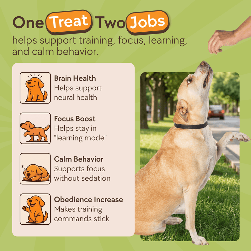 DOGUS Training Treats - TheraPetMD - TheraPetMD