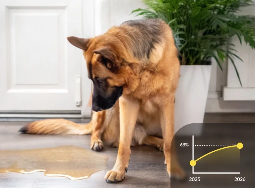 <p>¿Sabías que el 68% de los perros orina dentro de casa?</p>