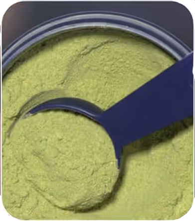 Powder scoop