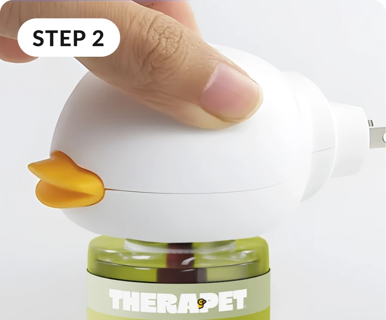 Find the Perfect Spots