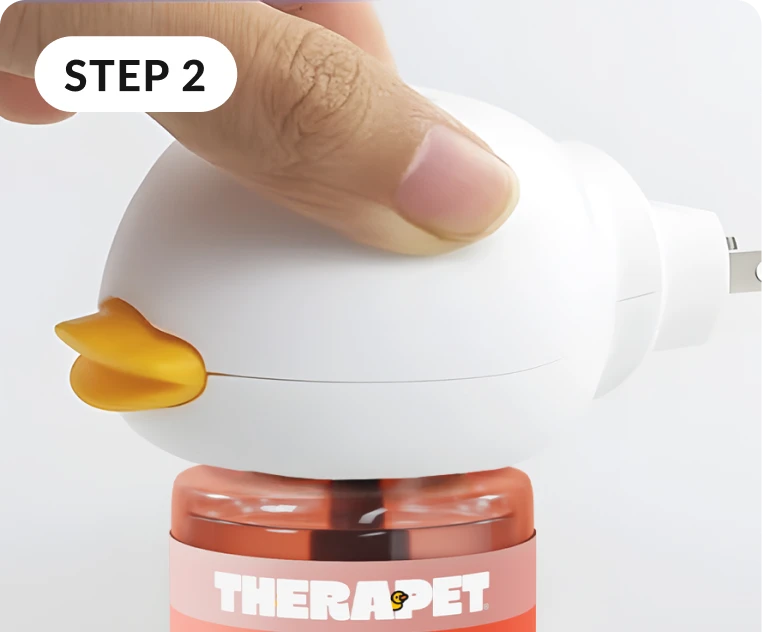 Find the Perfect Spots