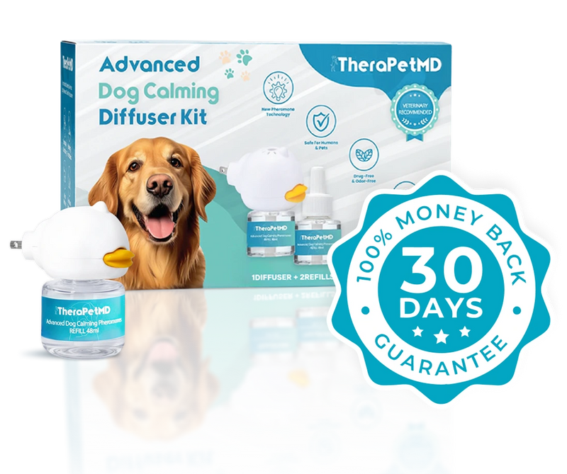  <p>RESULTS OR MONEY BACK GUARANTEE</p>