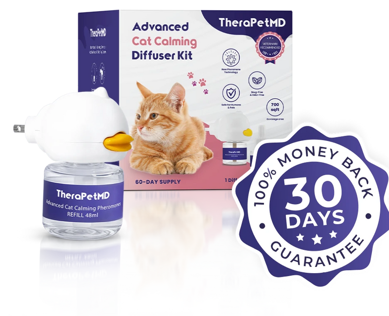  <p>RESULTS OR MONEY BACK GUARANTEE </p>