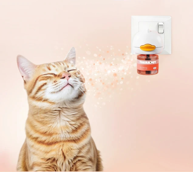 Therapet | Cats Fighting Iterated LP – TheraPetMD Therapet | Cats Fighting Iterated LP – TheraPetMD