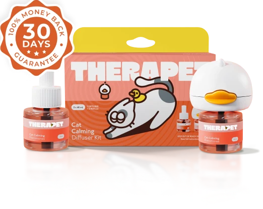  <p>RESULTS OR MONEY BACK GUARANTEE </p>