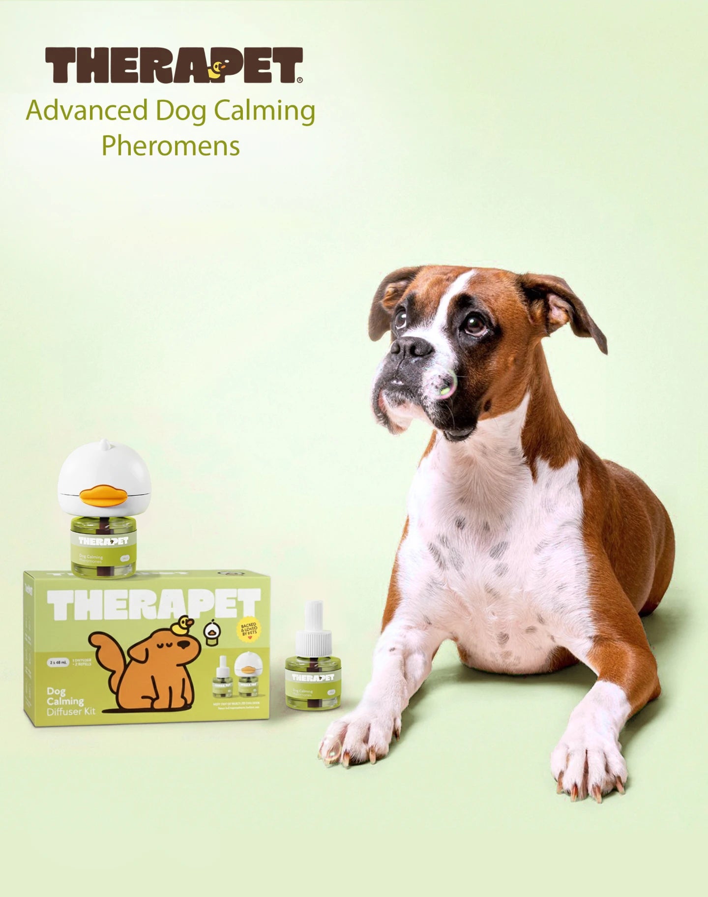 <p>Why Is Your Dog Behaving Badly?</p>