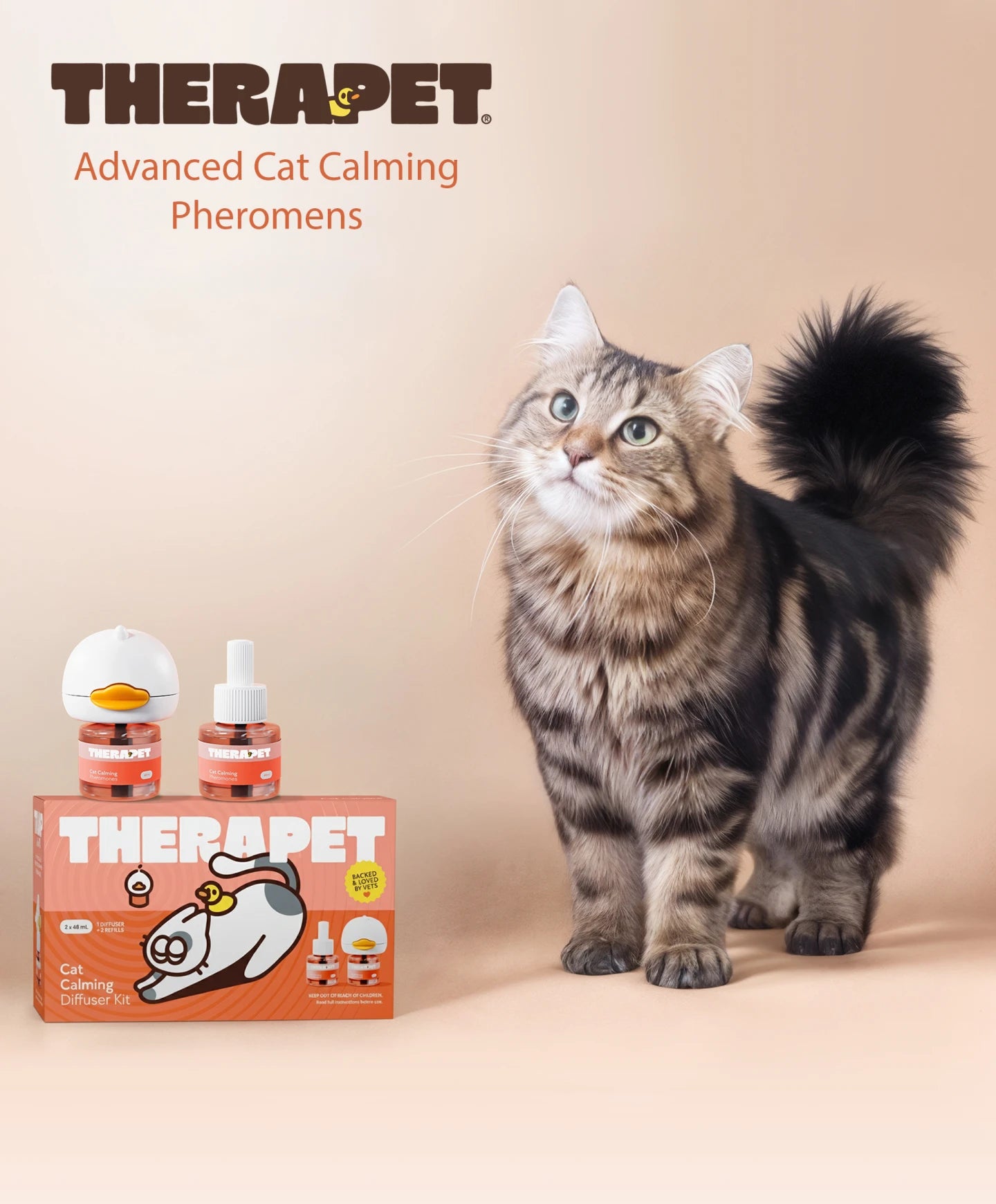 <p>Don't Rehome Your Cat</p>