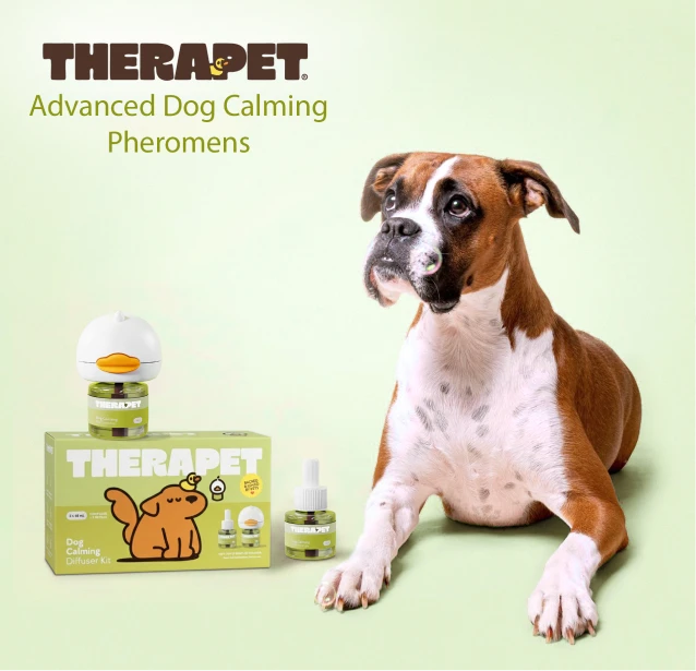 Dog Ripping From Mess to Success: Put An End To Your Dog’s Indoor Peeing! – TheraPetMD