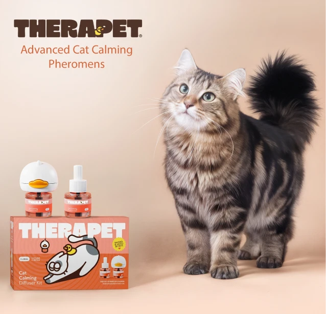 <p>Don't Rehome Your Cat</p>