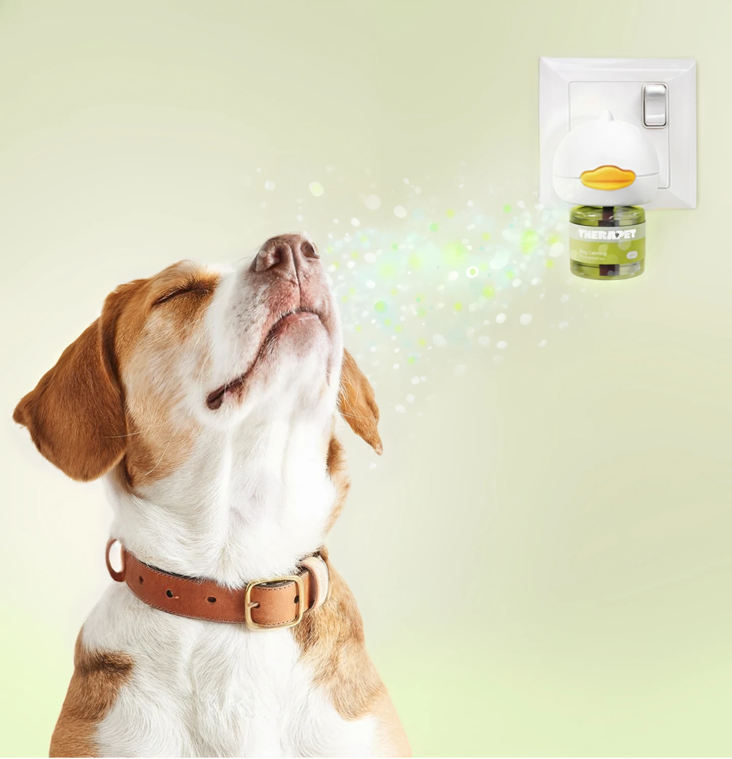 <p>How It Works?</p>