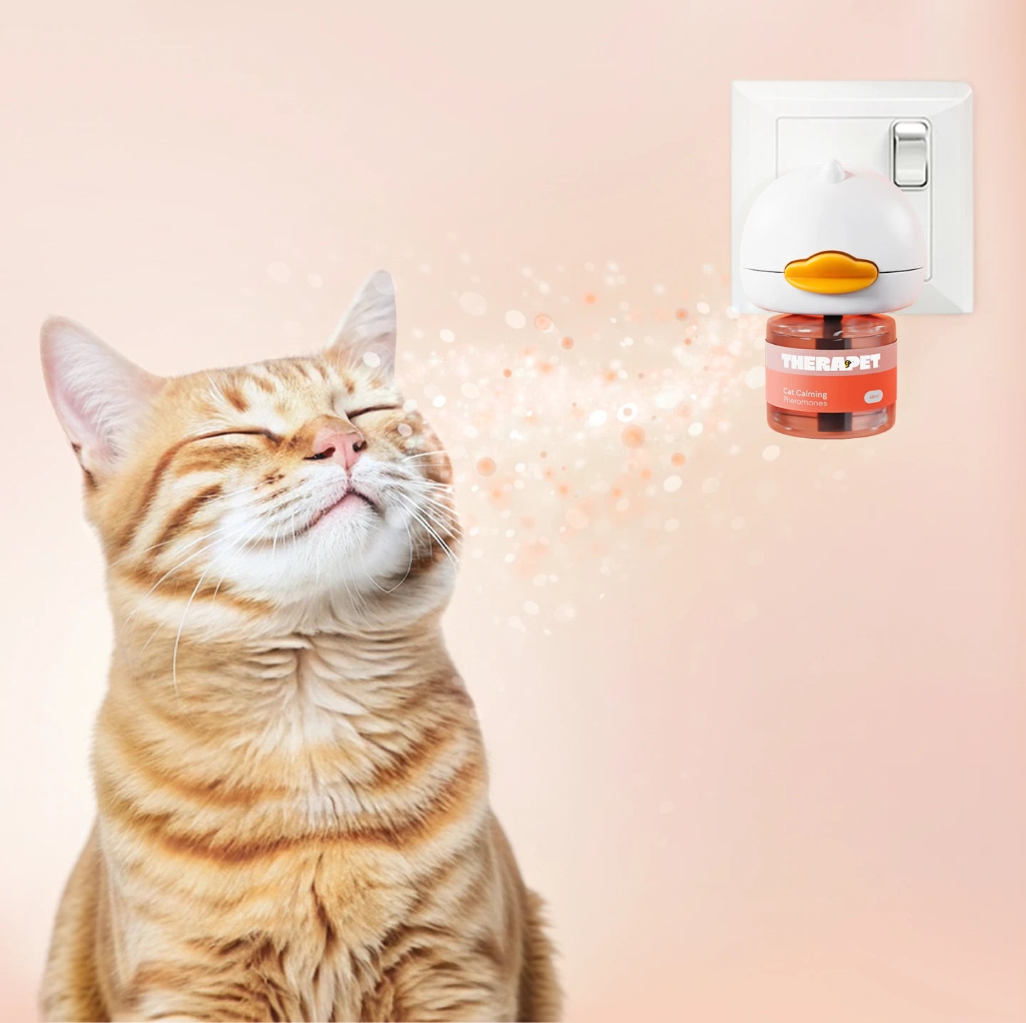 <p>How It Works?</p>