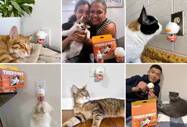 <p><strong>Why Vets Recommend TheraPetMD for Stressed Cats</strong></p>