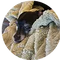 “Best product! My rescue often peed indoors and was very anxious alone. Never seen such a change as with Therapet. Buyer for life!” - TheraPetMD