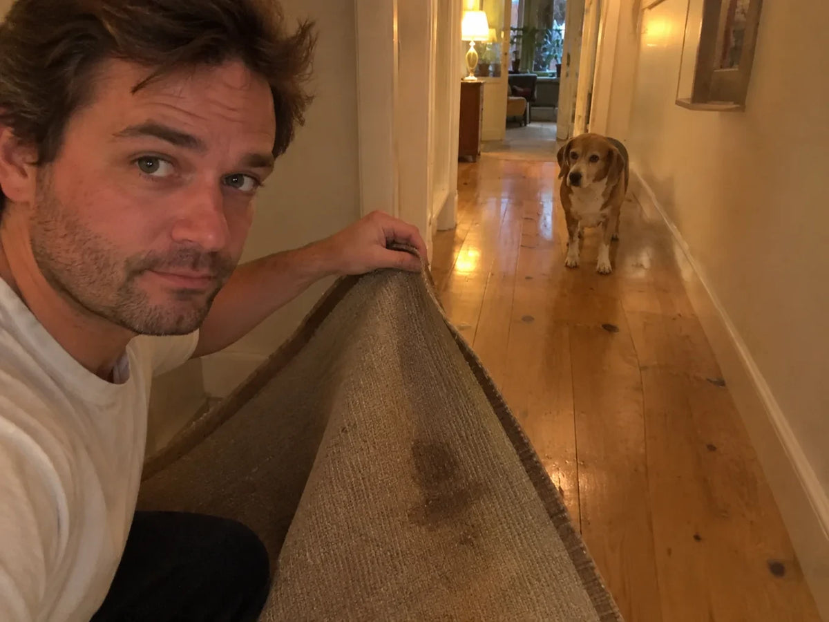 My husband holding up the stained hallway rug while Biscuit watches