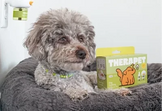 Customer photo from Anna D.: a gray curly haired dog on a dog bed next to a TheraPetMD kit