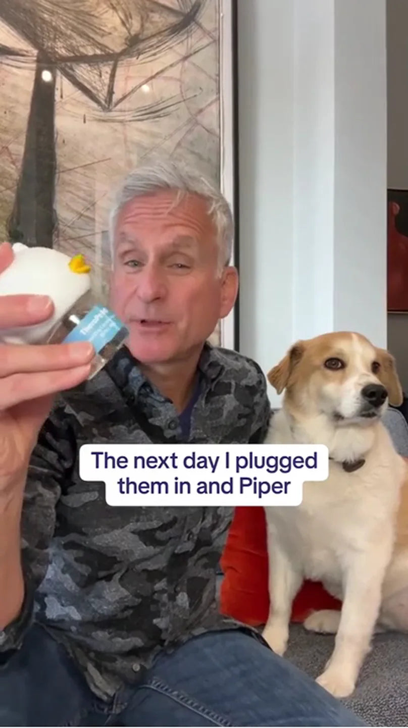 TheraPetMD customer video 1: pee accidents stopped